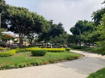 place photo 30