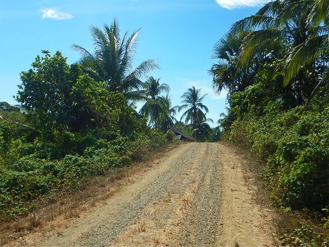 place photo 9