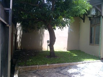 place photo 21