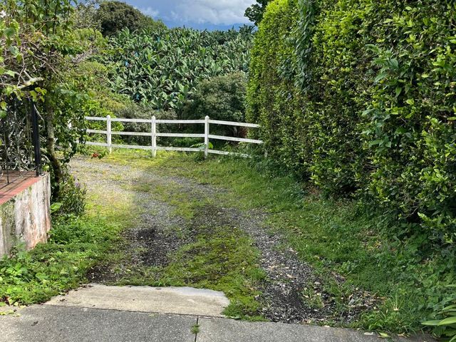 place photo 50