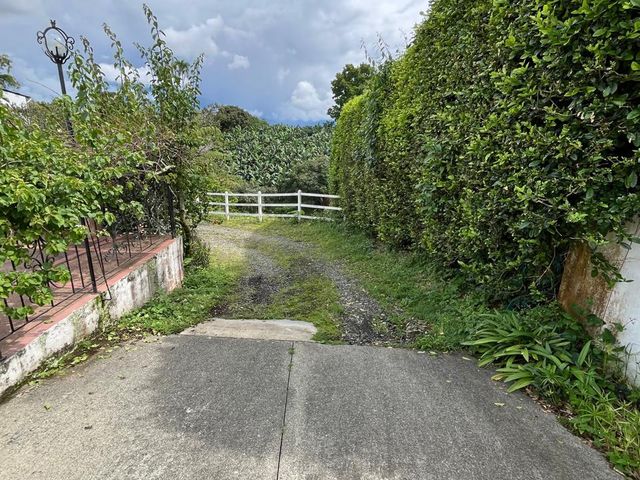 place photo 51