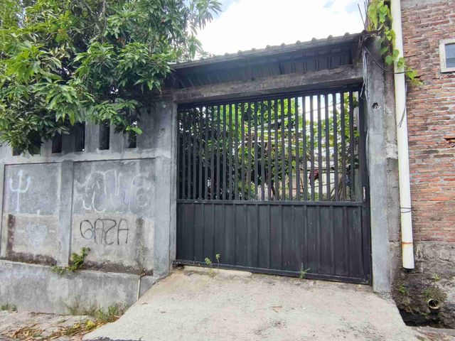 place photo 17