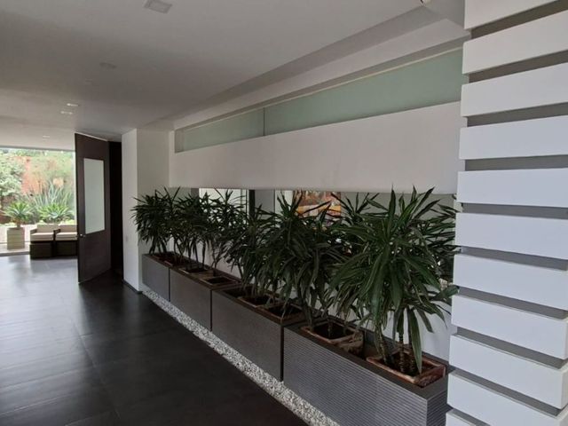 place photo 57
