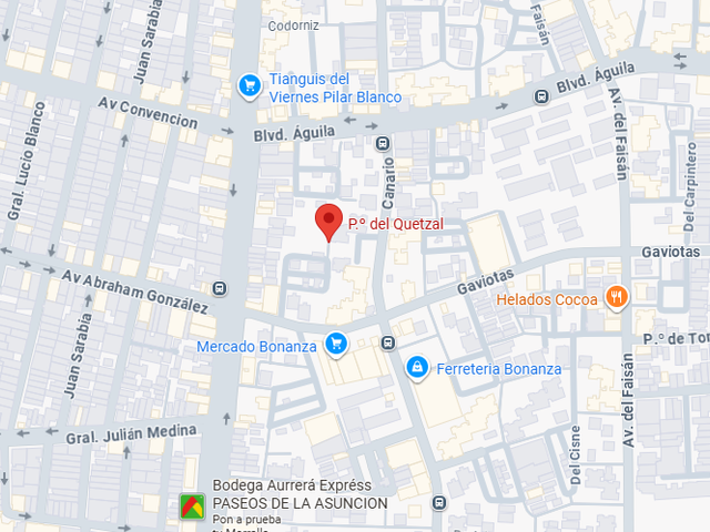 place photo 11