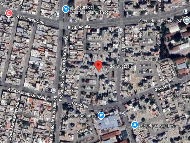 place photo 13