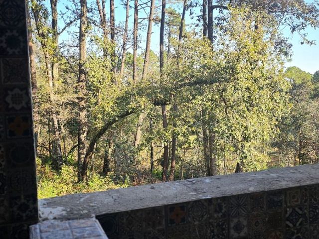 place photo 63
