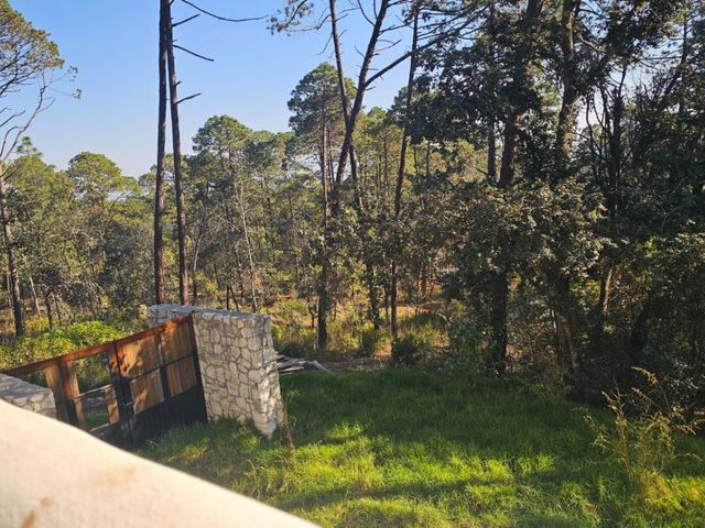 place photo 61