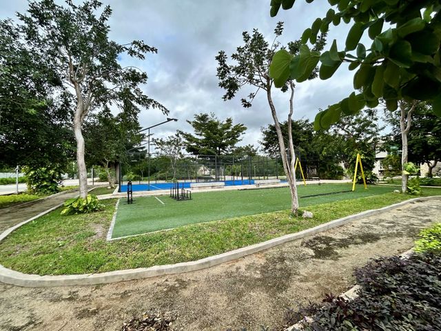 place photo 18