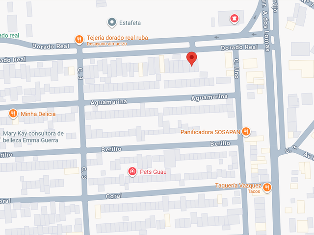 place photo 11
