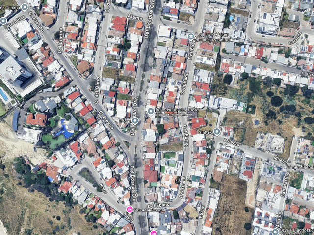 place photo 6