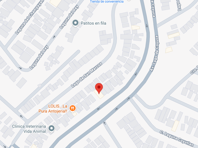 place photo 12