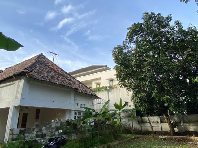 place photo 14