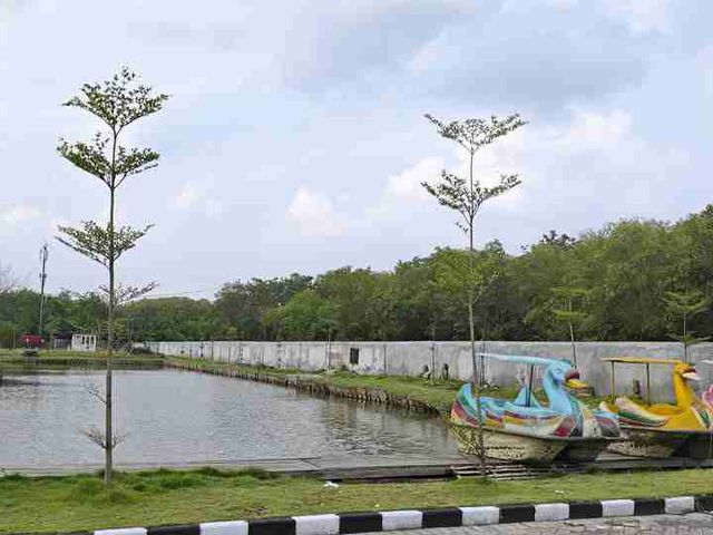 place photo 15