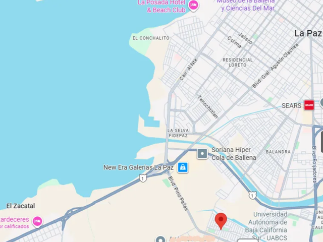 place photo 5