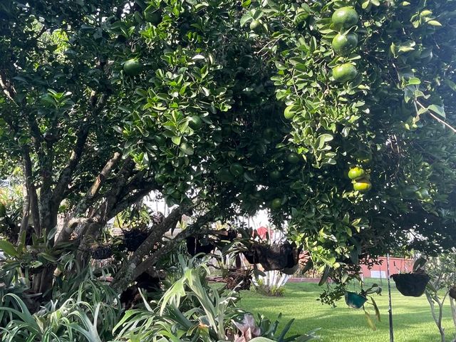 place photo 42