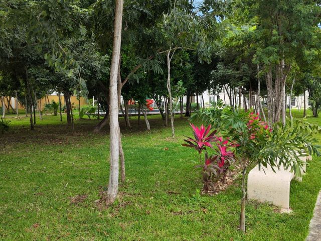 place photo 36