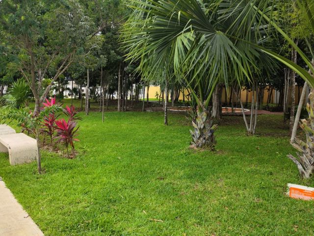 place photo 37