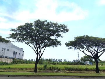 Jawa, PIDIE, Aceh, Indonesia
