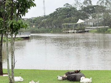 place photo 29