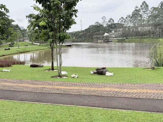 place photo 30