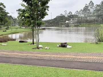 place photo 30