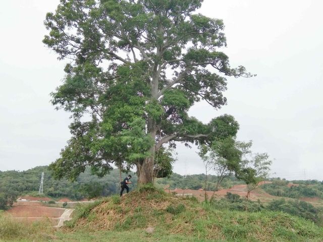 PRIME LOT IN SUN VALLEY ANTIPOLO