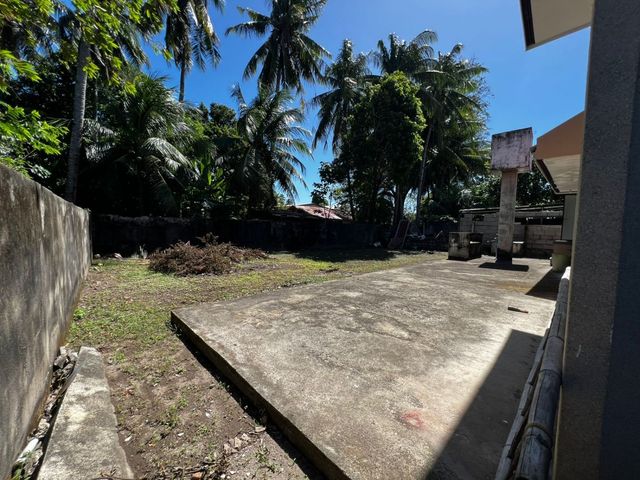 place photo 38