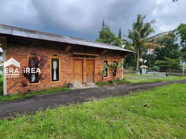 place photo 19