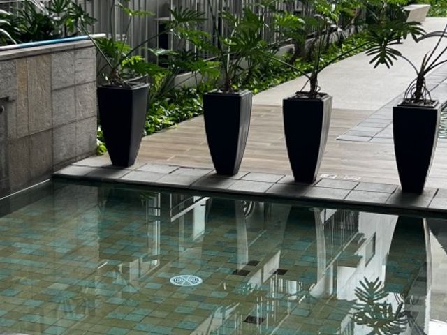 place photo 65
