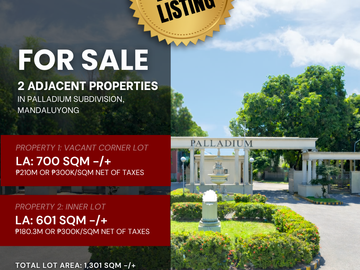 FOR SALE 2 Adjacent Properties in Palladium Subdivision, Mandaluyong