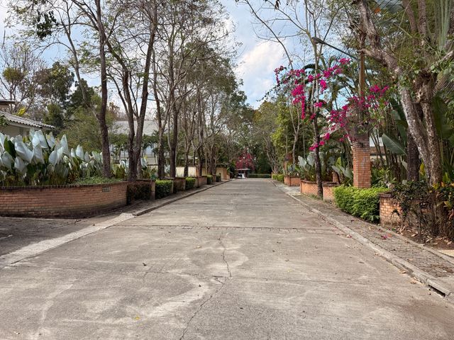 place photo 41