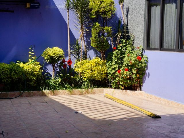 place photo 21