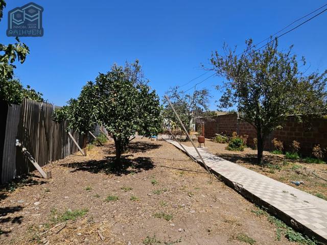 place photo 20