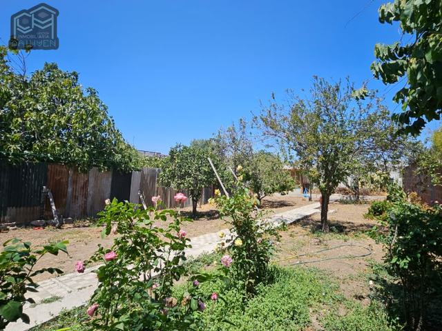 place photo 24