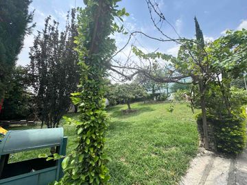 place photo 37