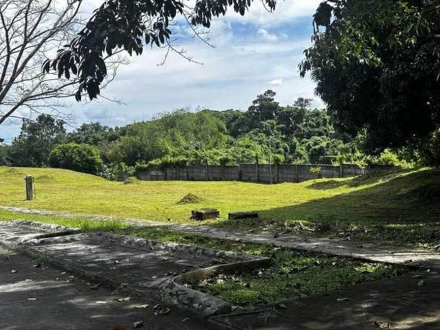 Ayala Westgrove Heights | Residential Lot For Sale - #9708