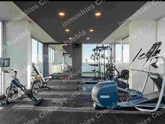 place photo 24