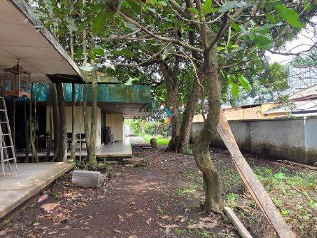 place photo 18