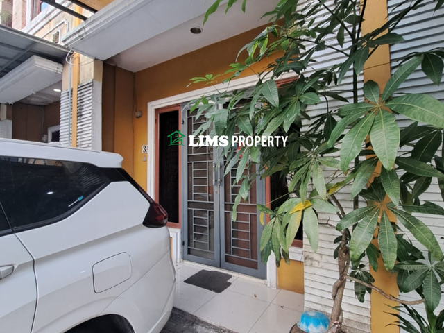 place photo 14