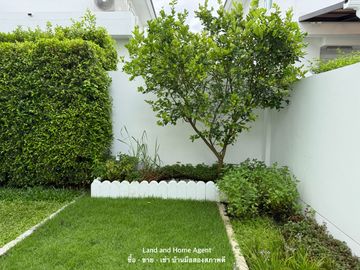 place photo 53