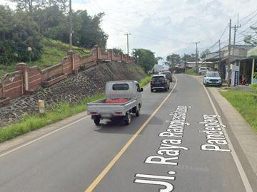 place photo 21