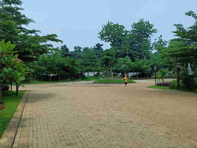 place photo 12