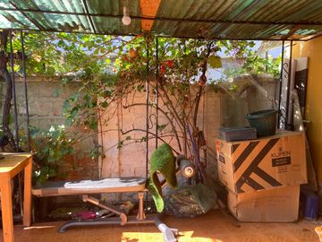 place photo 26