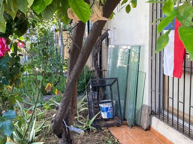 place photo 33
