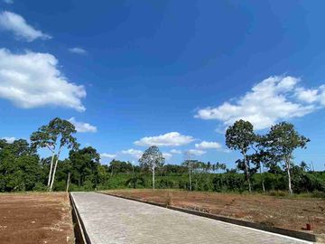 place photo 18