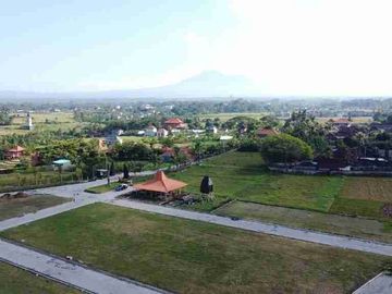 place photo 21