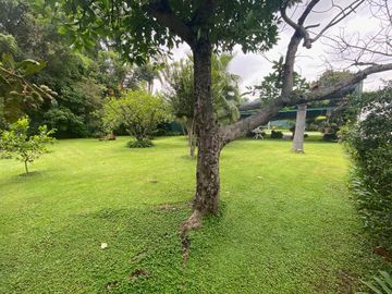 place photo 60