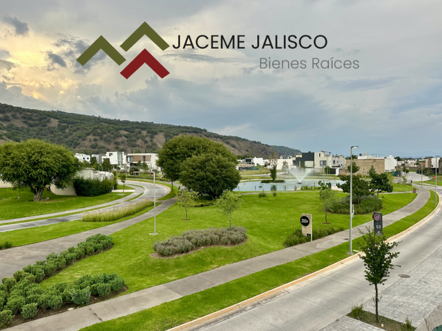 place photo 37