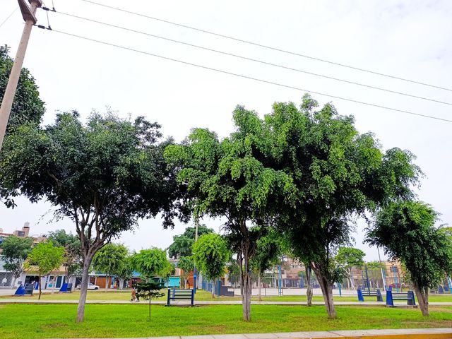 place photo 25