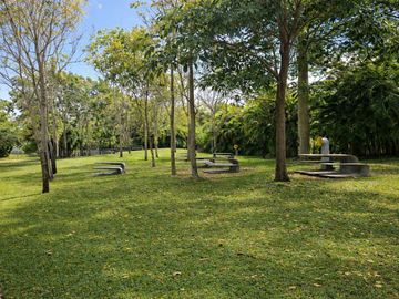 place photo 38